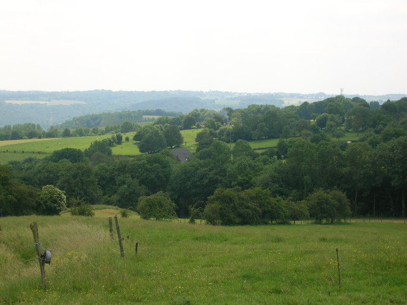 Prairies sous Magnée 