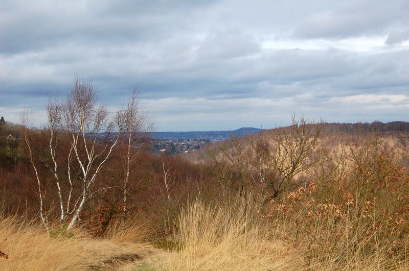 Vue jusqu'au terril du Hasard