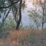 DSC00549